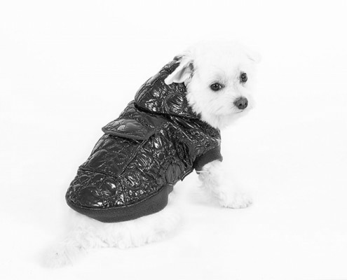 Hooded Dog Jacket - KZK13 - dog clothing, dog apparel, dog clothes - Essenti Enterprises, LLC - importer, exporter, supplier, distributor of pet products