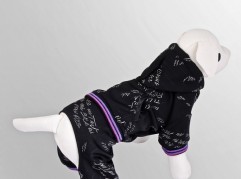 Tracksuit - Autograph - Black - dog clothing, dog apparel, dog clothes - Essenti Enterprises, LLC - importer, exporter, supplier, distributor of pet products
