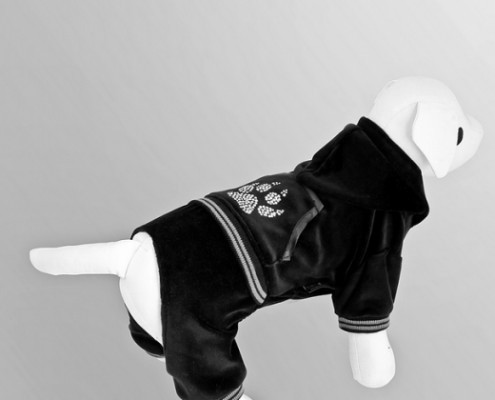 Tracksuit - Paw Print - Black - dog clothing, dog apparel, dog clothes - Essenti Enterprises, LLC - importer, exporter, supplier, distributor of pet products