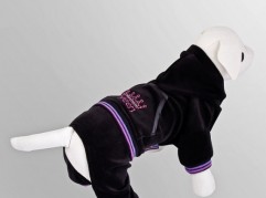 Tracksuit - Queen - Black - dog clothing, dog apparel, dog clothes - Essenti Enterprises, LLC - importer, exporter, supplier, distributor of pet products