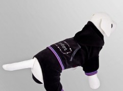 Tracksuit - Sweet - Black - dog clothing, dog apparel, dog clothes - Essenti Enterprises, LLC - importer, exporter, supplier, distributor of pet products